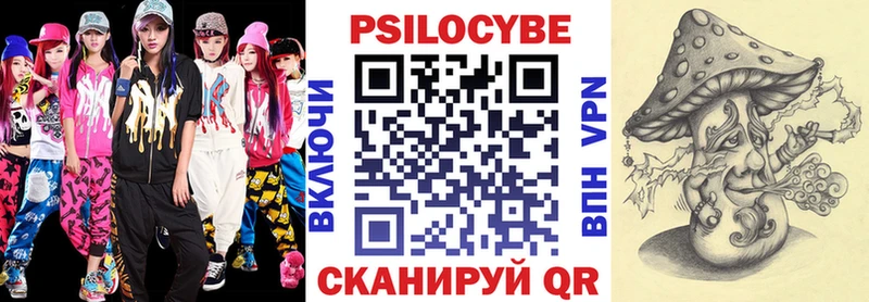 Псилоцибиновые грибы Psilocybe mega вход Шарья